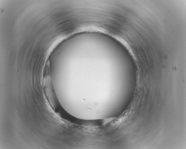 X0000088020815200706011323