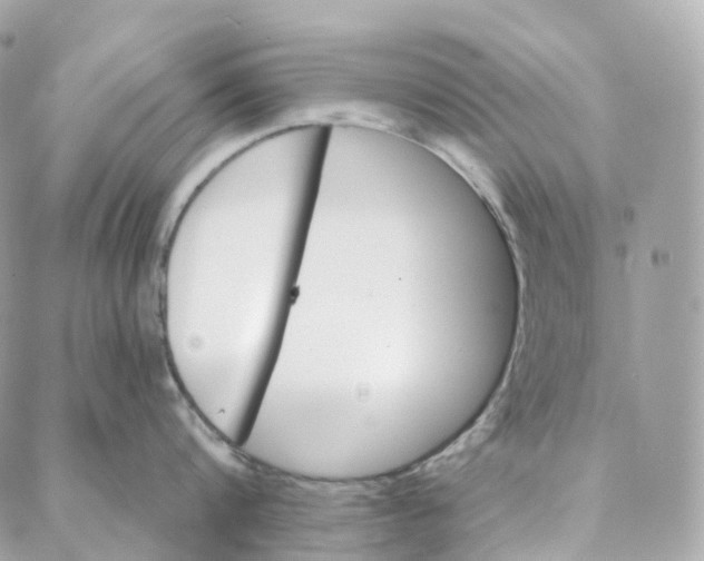 X0000088020816200706011323