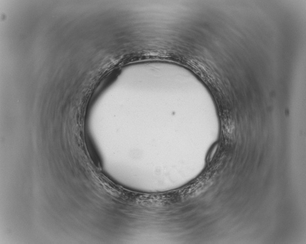 X0000088020817200706011322