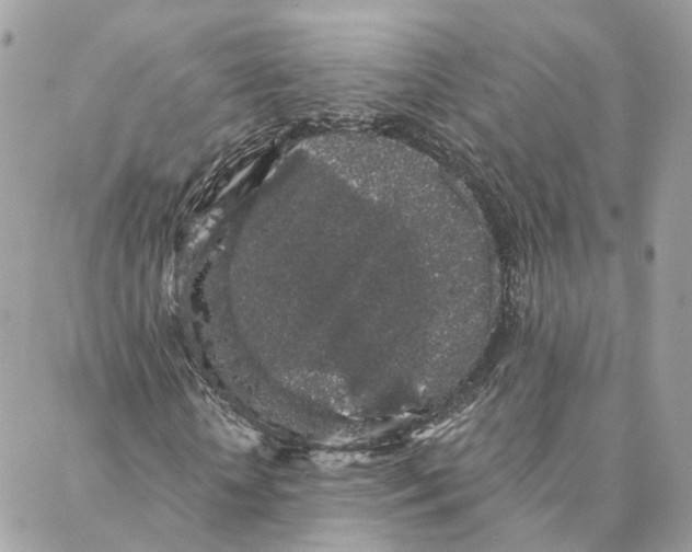 X0000088020818200706011322