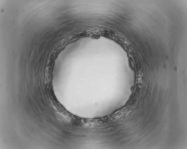 X0000088020819200706011322