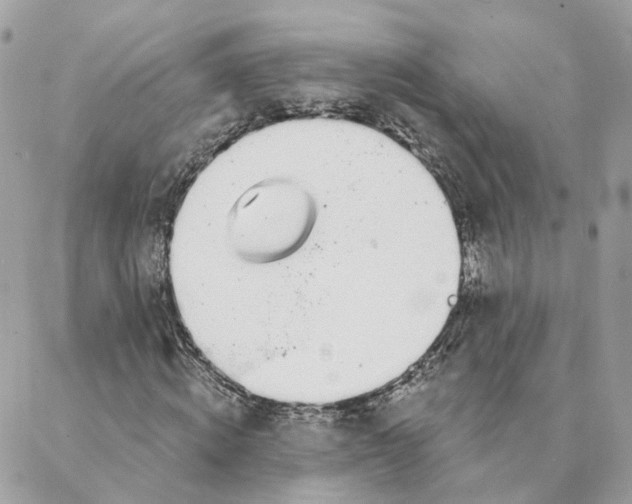 X0000088020820200706011322