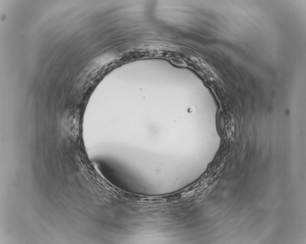 X0000088020821200706011322