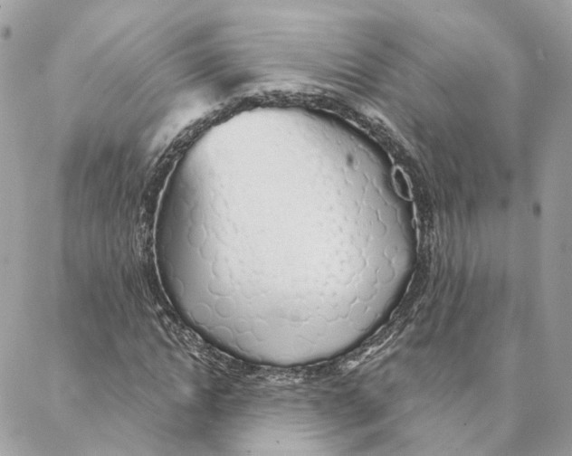 X0000088020822200706011322