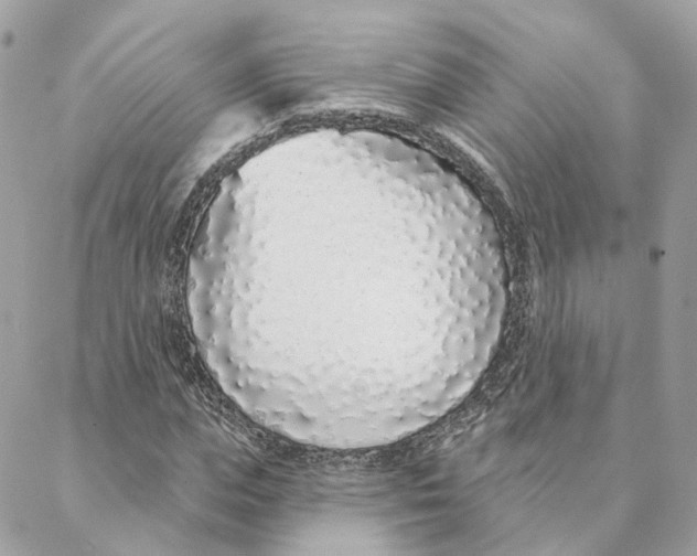 X0000088020823200706011322