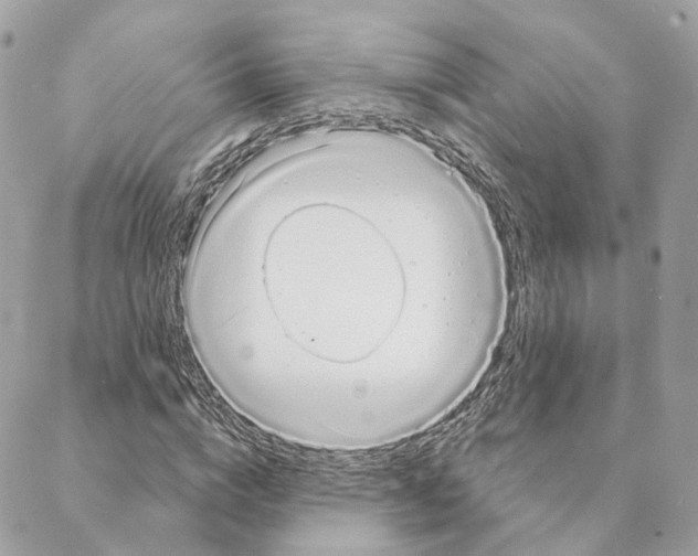 X0000088020824200706011322