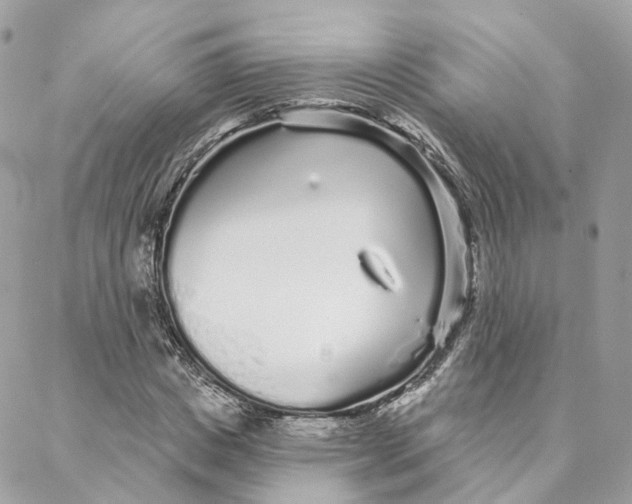 X0000088020825200706011322