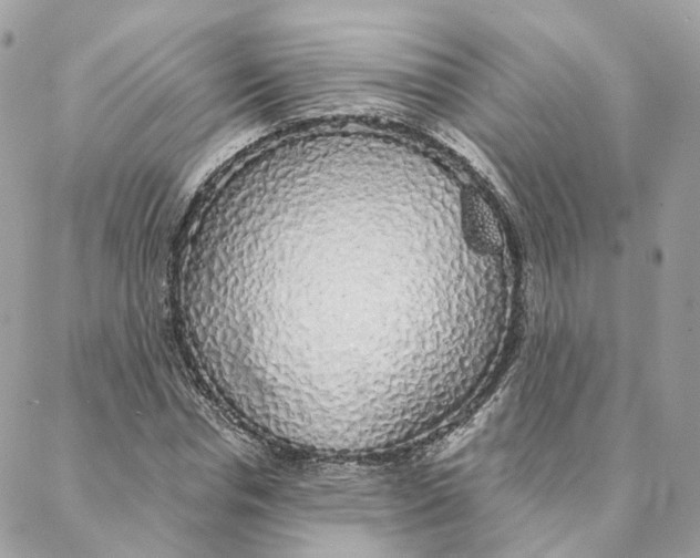 X0000088020826200706011322