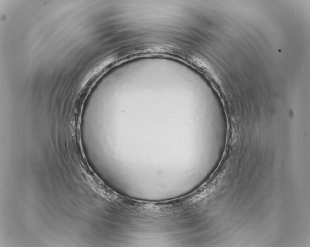 X0000088020827200706011322