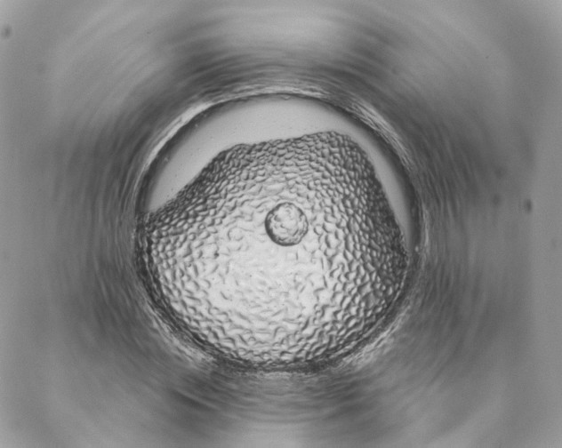 X0000088020828200706011322