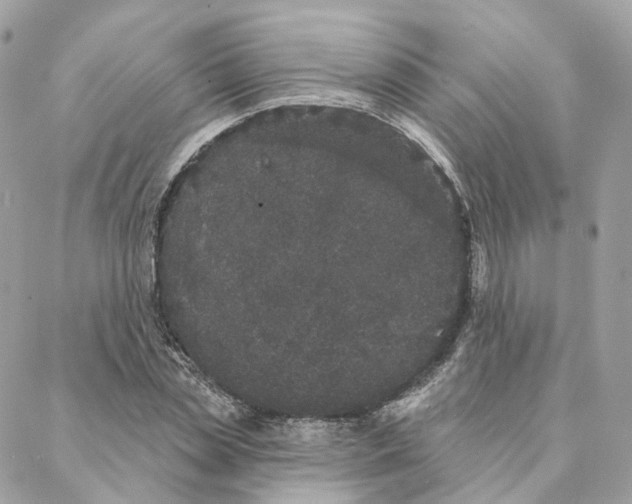 X0000088020829200706011322