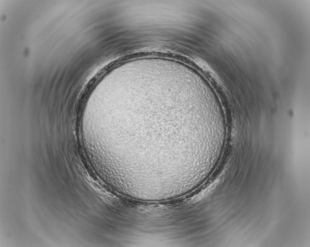 X0000088020830200706011322