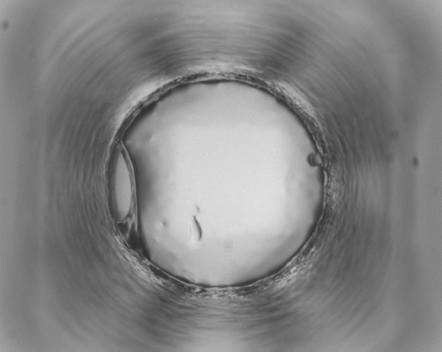 X0000088020831200706011322