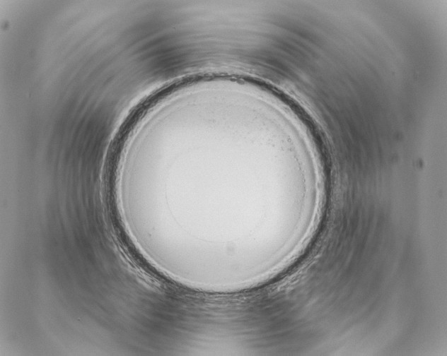 X0000088020832200706011322