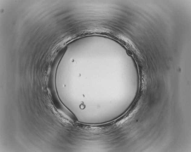 X0000088020833200706011322