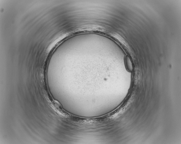 X0000088020834200706011322