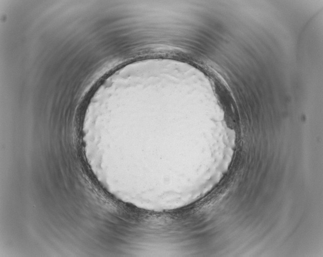 X0000088020835200706011322