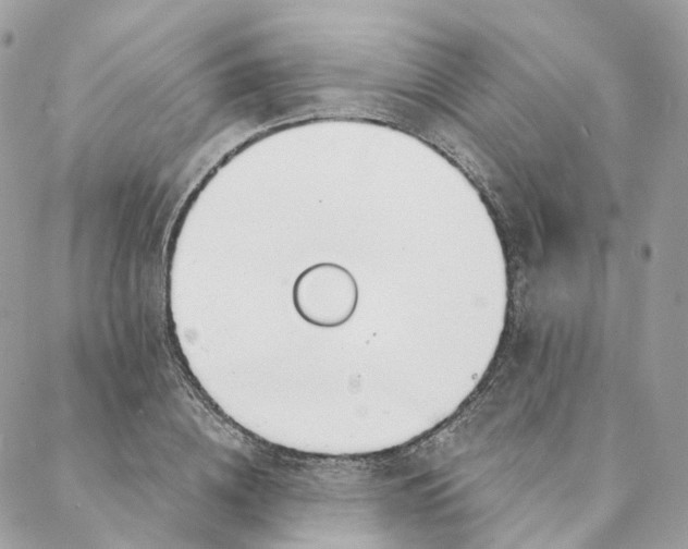 X0000088020836200706011322