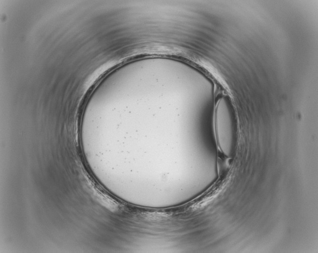 X0000088020837200706011322