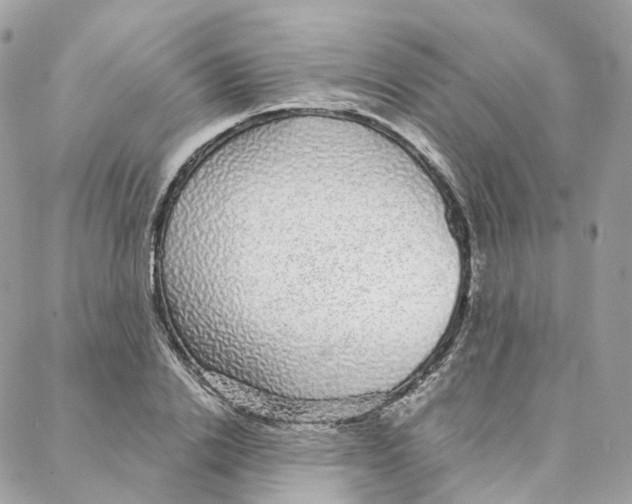 X0000088020838200706011322