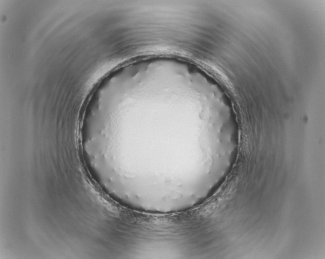 X0000088020839200706011322