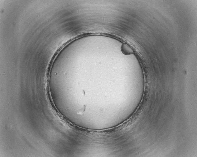 X0000088020840200706011322