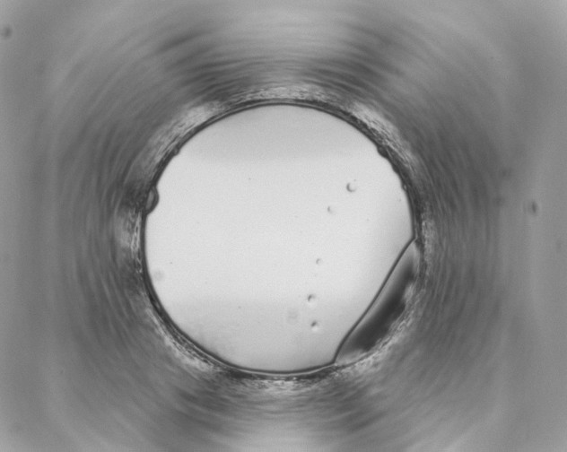 X0000088020841200706011322