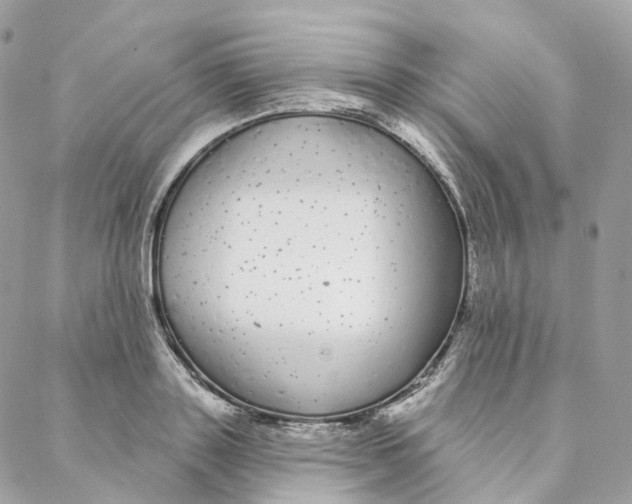 X0000088020843200706011322