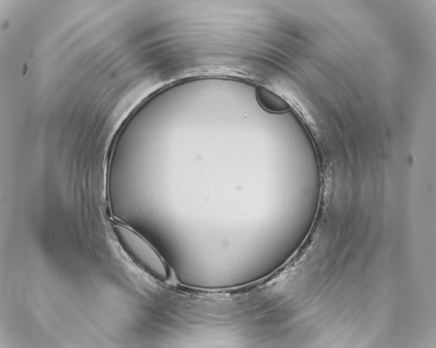 X0000088020844200706011322