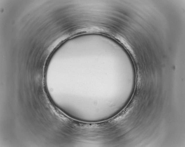 X0000088020845200706011322