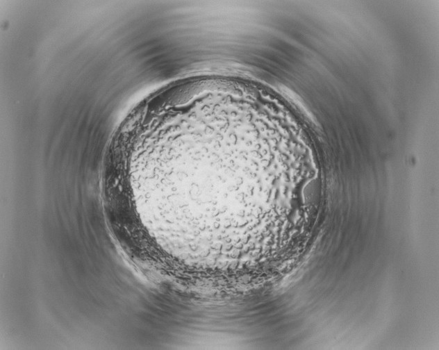 X0000088020846200706011322