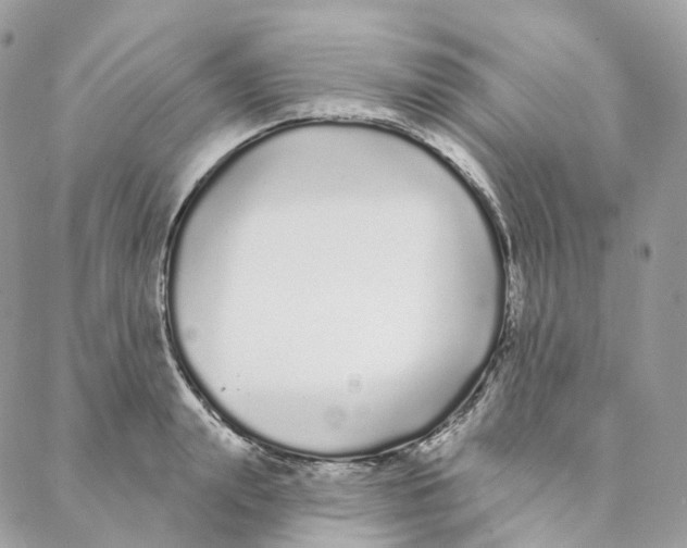 X0000088020847200706011322