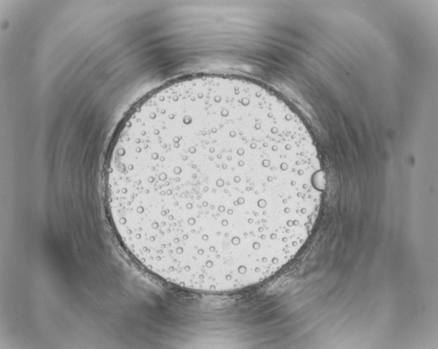 X0000088020848200706011322