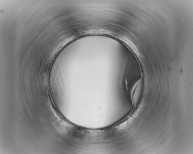 X0000088020849200706011322