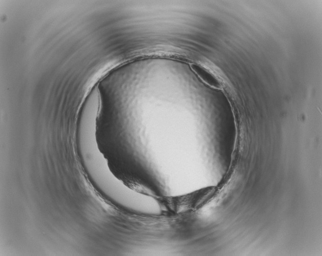 X0000088020850200706011322