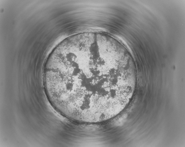 X0000088020851200706011322