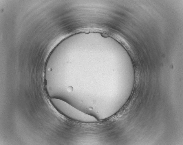 X0000088020852200706011322