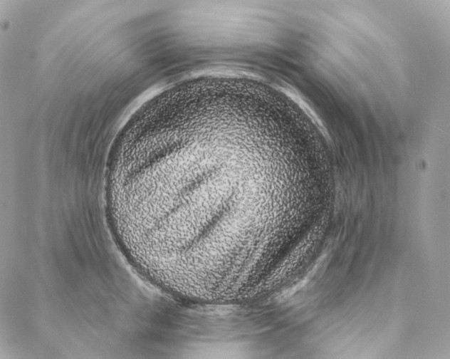 X0000088020853200706011322