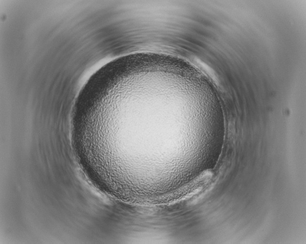 X0000088020854200706011322