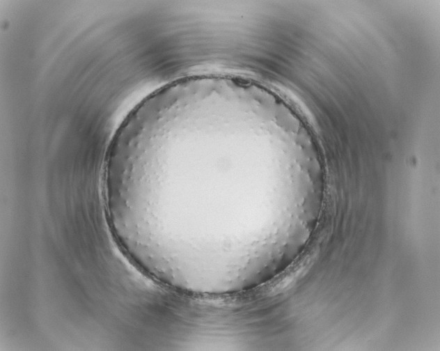 X0000088020855200706011322