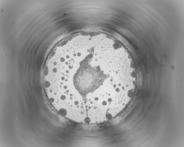 X0000088020856200706011322