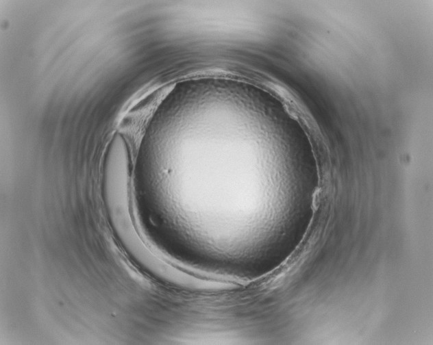 X0000088020858200706011322