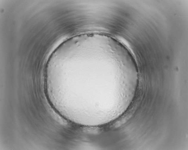 X0000088020859200706011322