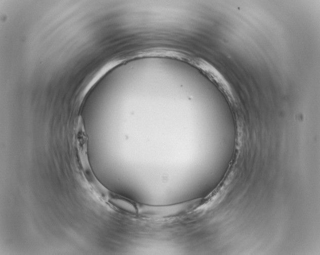 X0000088020860200706011322