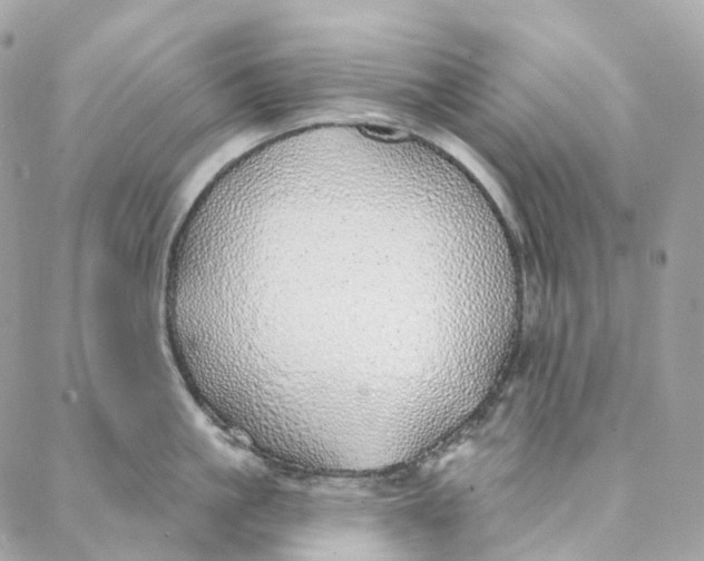 X0000088020861200706011322