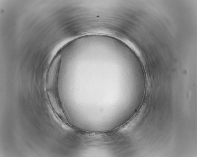 X0000088020862200706011322