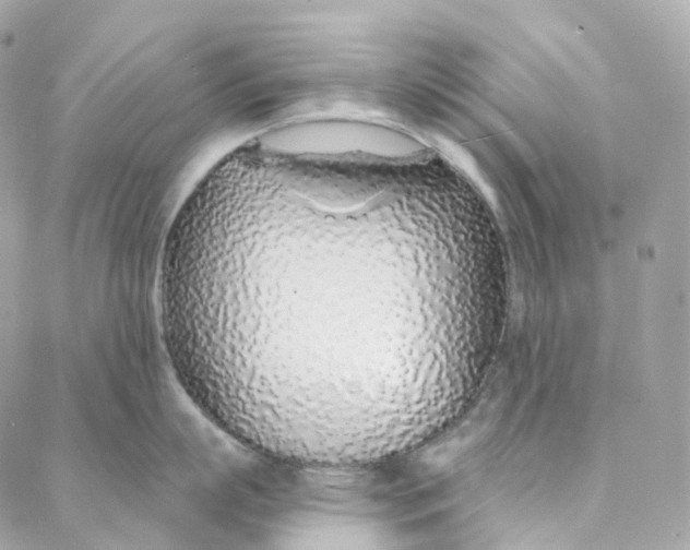 X0000088020863200706011322