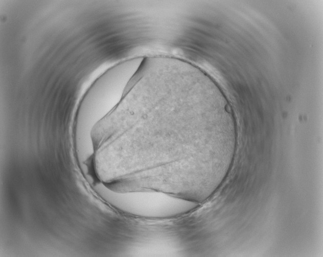 X0000088020864200706011323