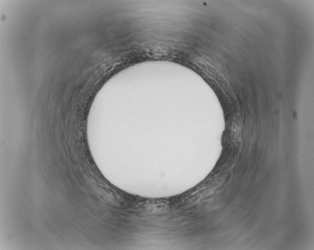 X0000088020865200706011322