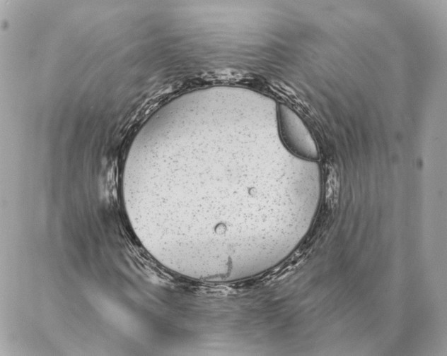 X0000088020866200706011322